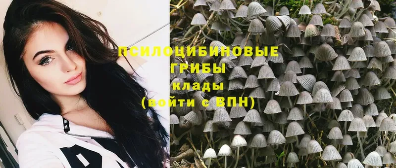 Галлюциногенные грибы Cubensis  Крым 